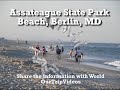 Assateague State Park Beach, Berlin, MD, US - Picture