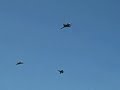Blue Angels 2