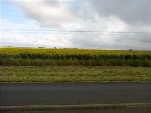 I’m Leaving it up to you-Rudi en Corlea.wmv
