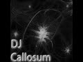 Asilum.wmv