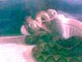 videos de Mafia eating his 2nd mouse
