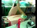 Mistrzyni prasowania Mistrzyni prasowania