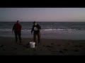 Sea Turtle Release