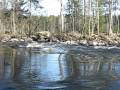 Rapids in central Finland