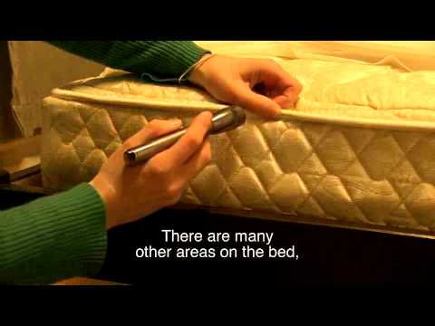 Controlling Bed Bugs by Hand - Let's Beat the Bed Bug!