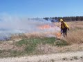 Prescribed Fire Crane WMA Falmouth Ma. 5-9-07
