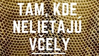Tam, kde včely nelietajú
