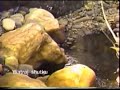 HITOS DE CORONGO ANCASH HITOS DE CORONGO ANCASH