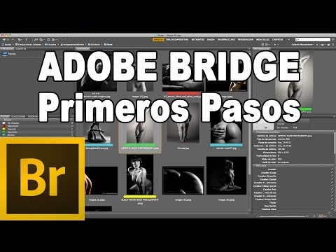 Qué es Adobe Bridge y para qué sirve - Tutorial Adobe Bridge en Español por @prismatutoriales
