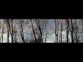 Forest After Ice Storm - Split Screen Forest After Ice Storm - Split Screen