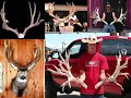 All kinds of world record deer!!!