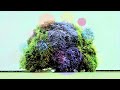 Yo La Tengo - "Before We Run" by Emily Hubley