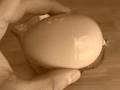 How to make a chocolate egg for easter - UWGB