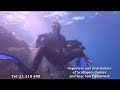 Scuba Systems Malta Scuba Systems Malta