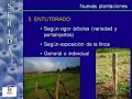 Nuevas Plantaciones  Jornada Manzano Cuidados de Invierno