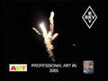 Professional Art 05 - 5005