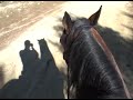 Trail Riding - Vasilika 1 (Attiki -Tatoi)