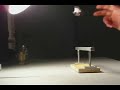 Windows Movie Maker SlowMo Test