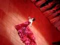 Anna Netrebko - Opernball  Operaball Vienna