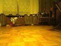 My VERY Cute Dog!!!