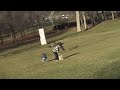 Eagle Snatches Kid