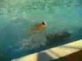 Tropea - Gara di nuoto - Stile libero (molto libero)