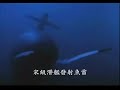 ROC.(Taiwan)submarine MV-2 ROC.(Taiwan)submarine MV-2