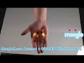 Golden Pig Smash Splatter Loku Loku Toy for all ages
