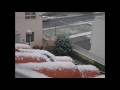 videos de Neve em Barcelos 09/01/2009!!!