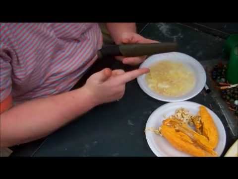 how to harvest heirloom seeds