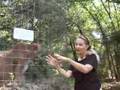 Cougar Talk- Animal Communicator Laura Lassiter