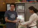 Joey Joey