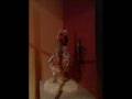 NAHU-PADILLA-CIRCUS-