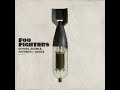 Foo Fighters - Stranger Things Have Happened