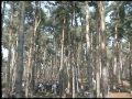 chicksands and its new 6pac part 2