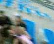 videos de cebraa!!