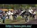 Japanese traditional culture 10 groups of Shishi-odori