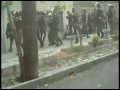Young Women beaten in streets of Tehran while protesting
