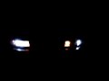 My Caprice With Strobes