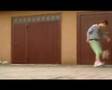 Martinhago For Freestyle:BR League