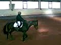 cOncour Dressage Saint avold [ 57 ] Moi ( Onur S. ) Sur Joli