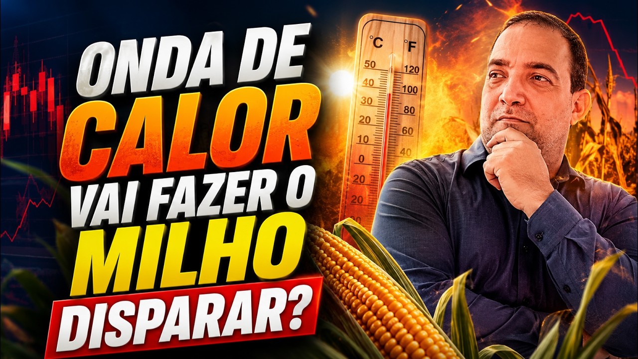Onda de calor vai fazer o milho disparar?