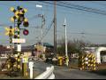 秩父鉄道　踏切(14)