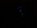 Entering Fright World Entering Fright World