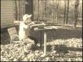 Justin's first rifle shot