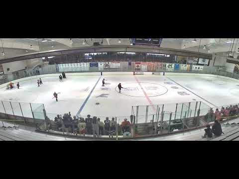 2023-06-17 Pair of Goals USHL Futures