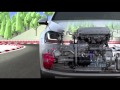 MK7 Volkswagen GTI Technical Animation