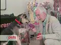 See video