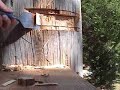 Spiral Stairs up a Power Pole Spiral Stairs up a Power Pole
