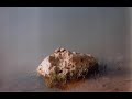 Berkane les grottes et les rivieres Berkane les grottes et les rivieres